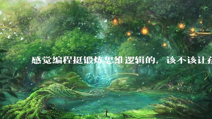 感觉编程挺锻炼思维逻辑的，该不该让孩子从学习点编程？
