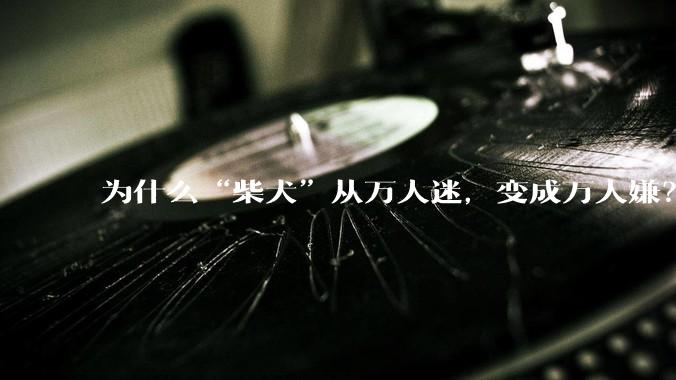 为什么“柴犬”从万人迷，变成万人嫌？