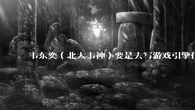 韦东奕（北大韦神）要是去写游戏引擎代码，能不能把虚幻引擎按在地上摩擦？数学好真能‘降维打击吗？