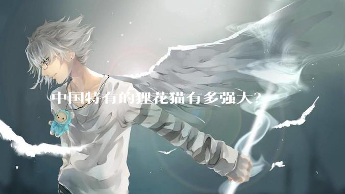 中国特有的狸花猫有多强大？